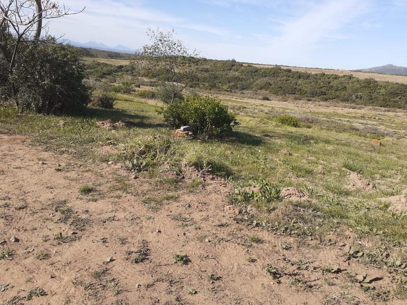 0 Bedroom Property for Sale in Albertinia Western Cape
